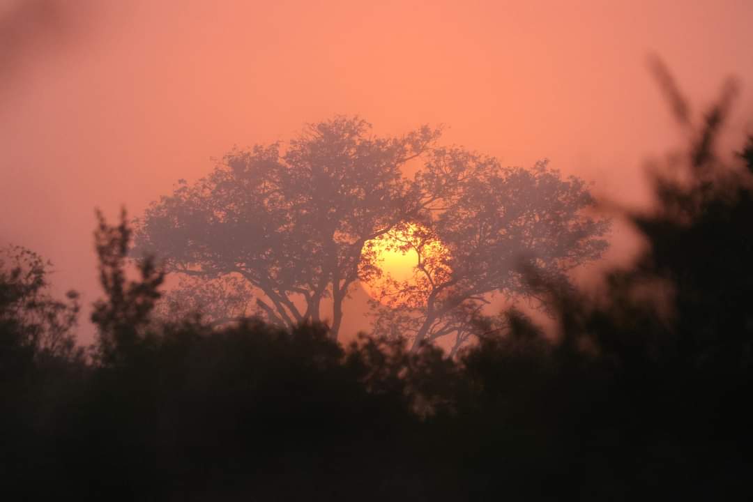 Sunset over the bushveld - solar power